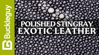 Exotic Leather, Polished Stingray | Full Grain Leather Demo