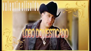 lobo Domesticado | Valentín Elizalde