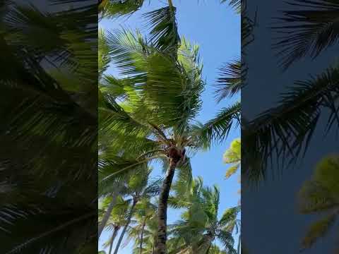 O segredo por trás do nome de uma das praias mais bonitas da Bahia