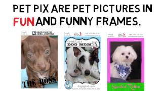 The Vet App | Pet Pix Contest