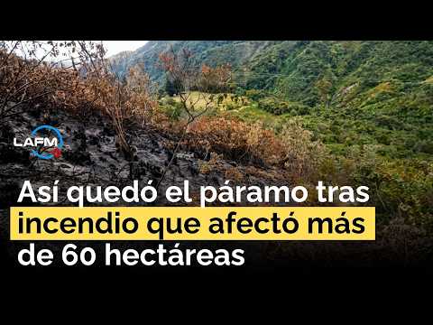 Nariño: Incendio en un páramo deja más de 60 hectáreas afectadas; investigan si fue provocado
