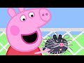 Peppa Pig At The Petting Farm Peppa Pig Official Family Kids Cartoon
