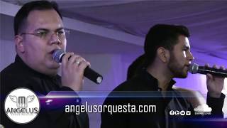 Video de Angelus Orquesta