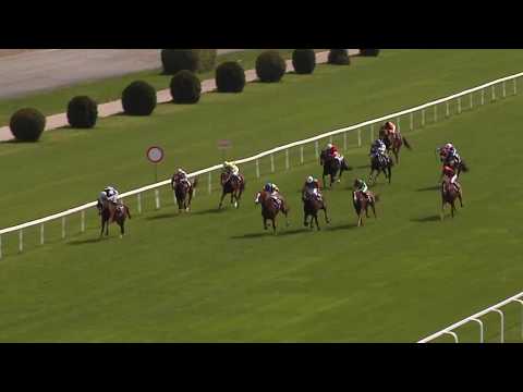 3. dostih - CENA KURÝRNÍ SLUŽBY MESSENGER - dostihy Velká Chuchle 19. 5. 2019