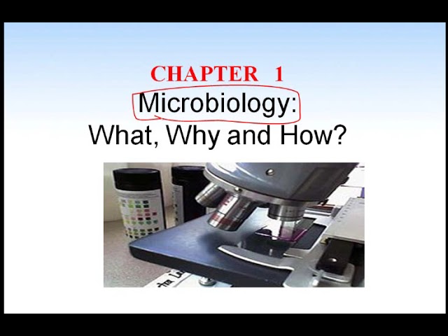 اشتراك شرح مادة BIOL103