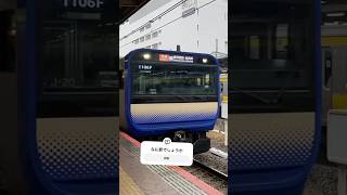 #train #鉄道 #総武快速線 #中央総武線
