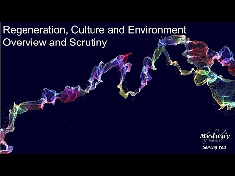 Regeneration, Culture and Environment Overview And Scrutiny Committee