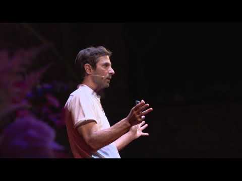 Que faire des cons ?  | Maxime Rovere | TEDxTours