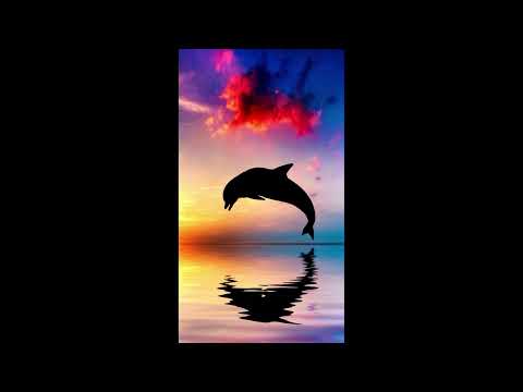 32 environmental movement activists