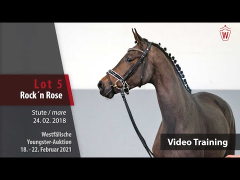 Youngster Auktion 18. - 22. Februar 2021 Training Lot 5 Rock´n Rose v. Rock Forever I - Florencio I