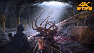 Wasteland | Immersive Realistic Ultra Graphics Gameplay [4K UHD 60FPS] Metro Exodus