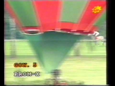 Druid-Nagroda Europy 1999