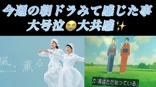 [朝ドラ]”風、薫る”大号泣😭大共感✨した訳とは.. 