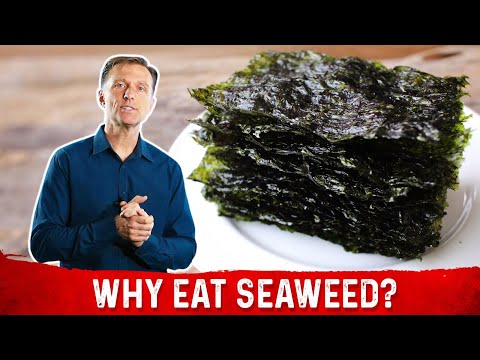 , title : 'What is Seaweed? – Dr.Berg Explains Roasted Seaweed Benefits