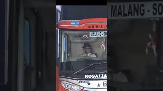 Download lagu Supir koboy ,Bus Rosalia Indah.#busmania mp3