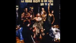 Yoga Of The Nightclub