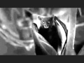 Universal Poplab - Vampire In You 