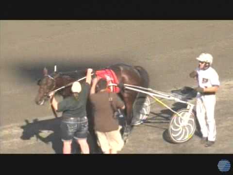 2013 Hambletonian Final - theharnessedge.com