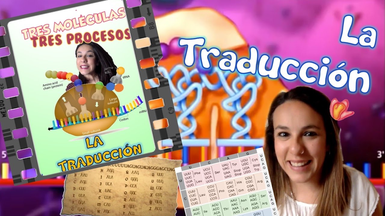 Traducción del ARN - Bio[ESO]sfera - Biología
