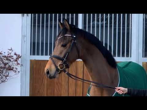 Lüttjer Karl 5j. v. Lyon - Christiano - Polydor