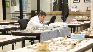 JPAC - Like Nowhere Else