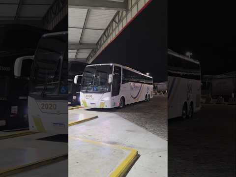 WJ Brasil Turismo 2020 Registro SP