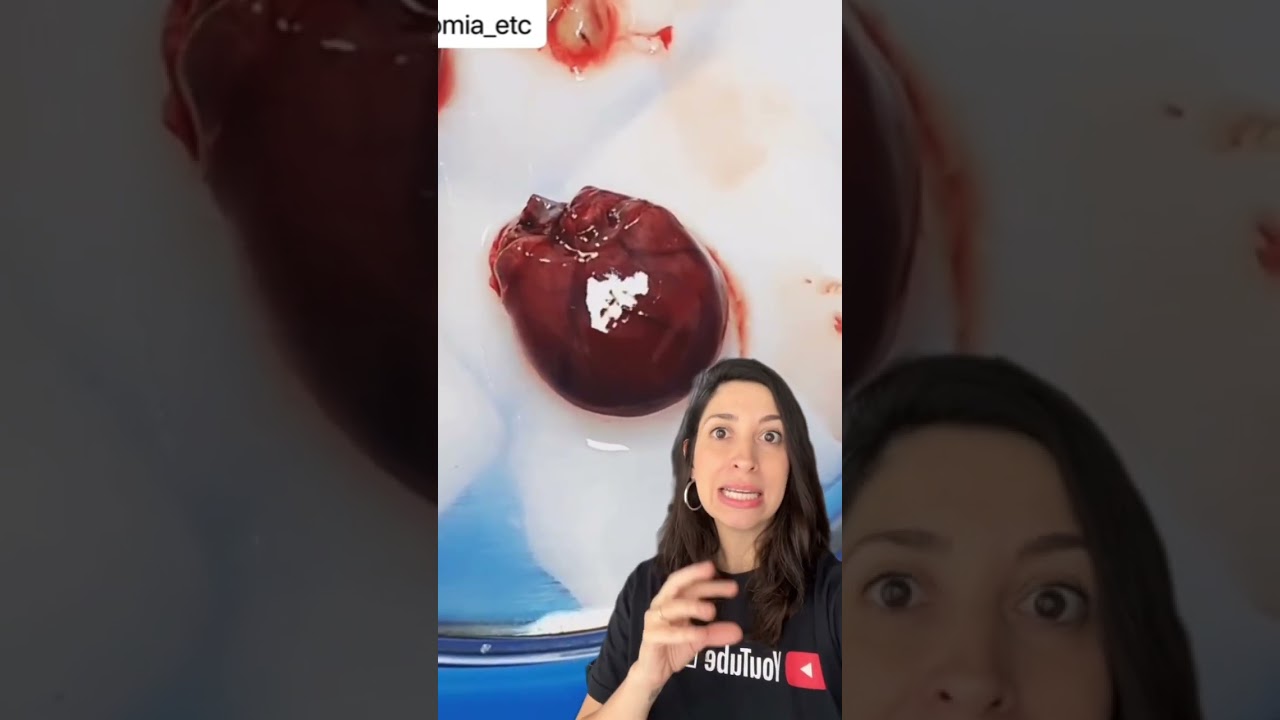 CORAÇÃO BATENDO FORA DO CORPO! #anatomia