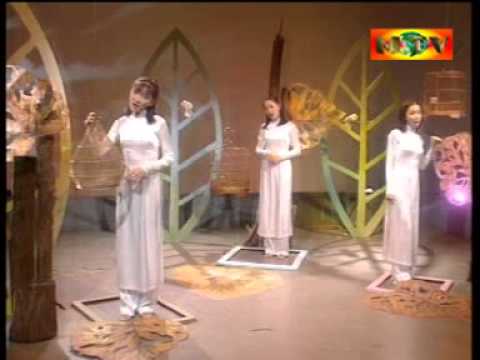 Thể hiện bởi Tam Ca Áo Trắng