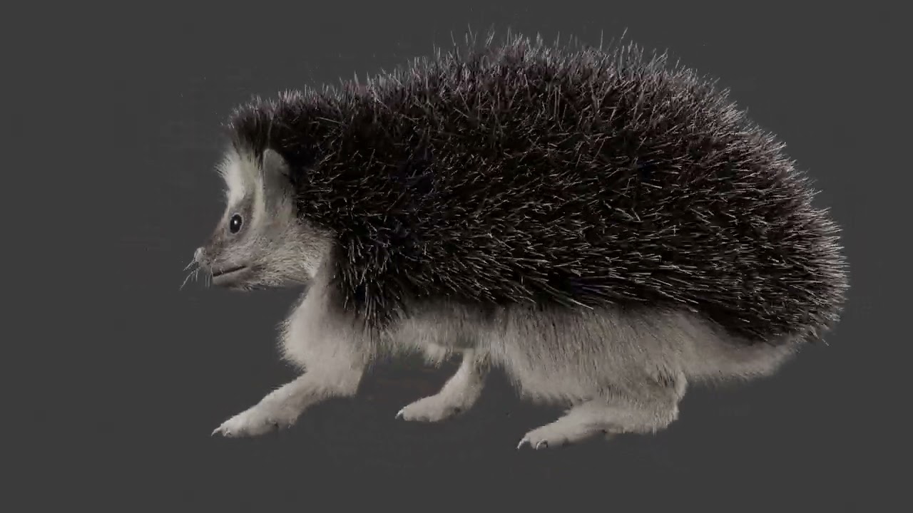 Realistisch animierter Igel 3D Modell
