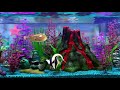 Nemo Tank