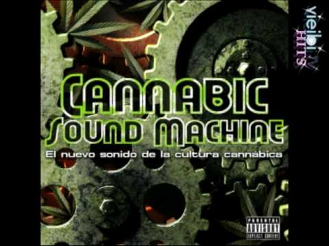 DAKANEH- TODOS LOS DIAS (CANNABIC SOUND MACHINE)