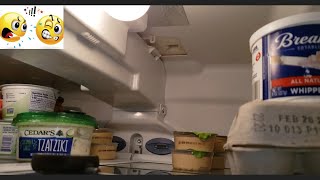 How to Fix KENMORE Refrigerator Not cooling Replace bad Fan motor