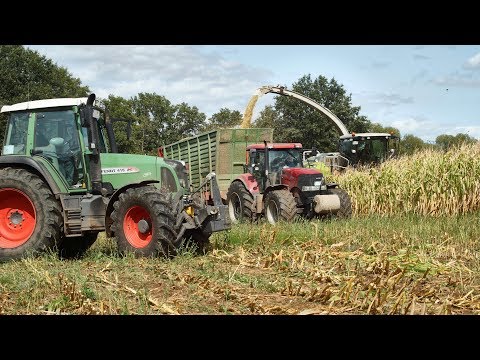 Mais 2018: CLAAS Jaguar 870 | Steyr Terrus | Fendt 939 Vario | 3x  Case IH Puma | Fendt 415 Vario
