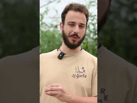 Olde Vechte - How can you Measure the Social Impact? | Active Collective