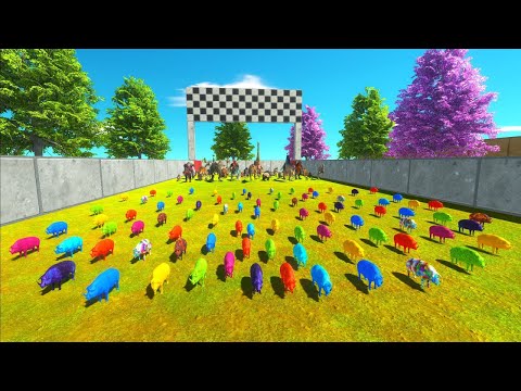 CHASE SPEED RACE TO EAT AN COLOR PIG NEW MAP - Animal Revolt Battle Simulator