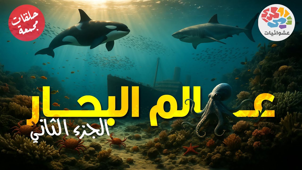 عالم البحار | حلقات مجمعة | الجزء الثاني