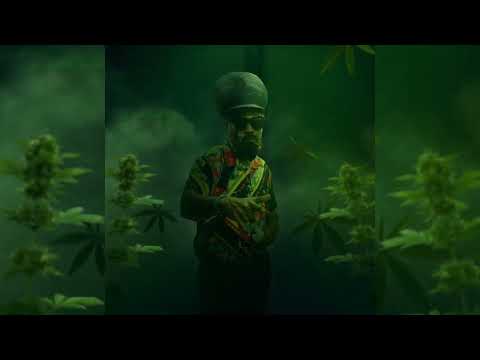 Producer Ajal & Mykal Rose - Marijuana (Official Audio)