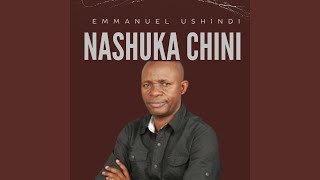 Download lagu Nashuka Chini mp3