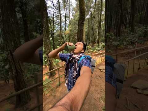 Emang minum air gunung aman?