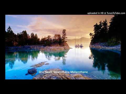 Oru Naalil Valarnthene Malarnthene