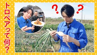 澤夏も思わず「なんだこれ！？」トロペアってどんな野菜！？