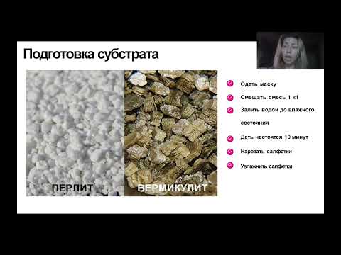 Видео инструкция к посадке растений в GREENBAR PRO, GREENBAR LUX, BIOPONIQ LAB