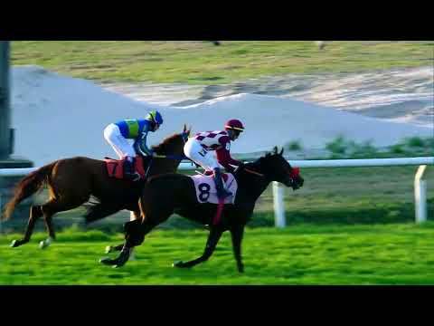 220717 c08 P Victorica/ ENGLISH STYLE (ARG)