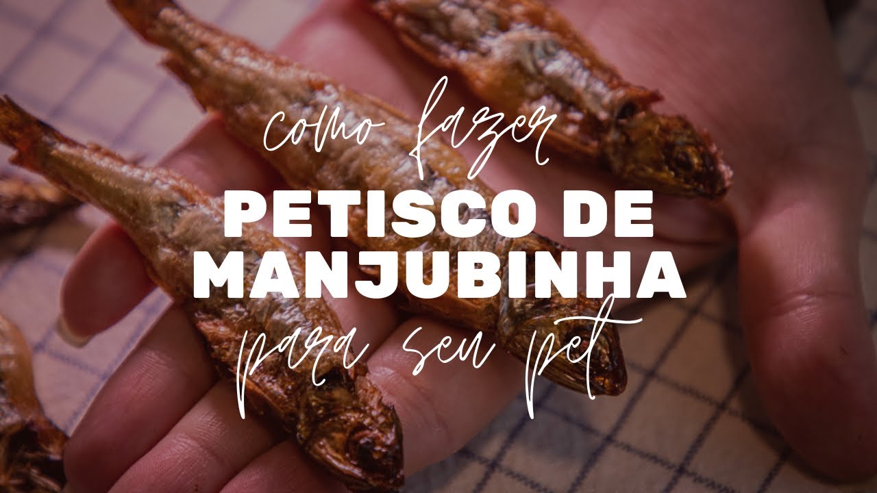 PETISCO DE MANJUBINHA | Como fazer para seu pet