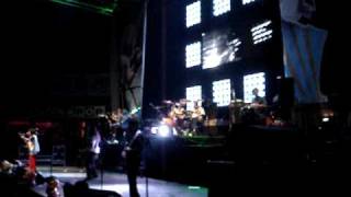 CHANCHO EN PIEDRA  - &quot;Kula Shaker`s PAQUIDERMO&quot;