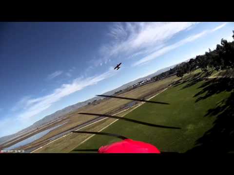 Beaver Attack - Dhc2 Beaver defending its Damn airspace