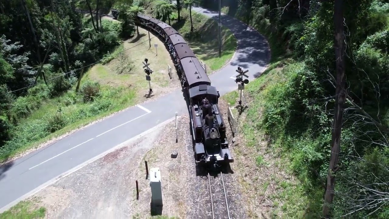 The Puffing Billy