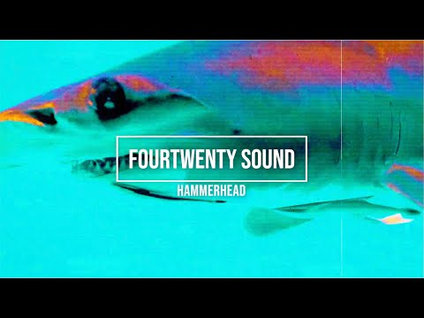 Fourtwenty Sound - Hammerhead