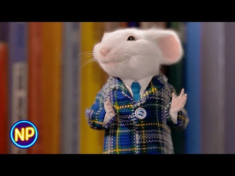 Adopting Stuart | Stuart Little (1999) | Now Playing