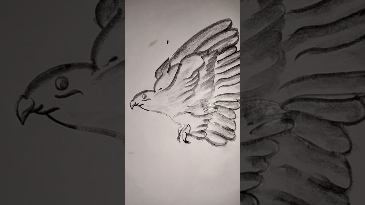 Premium Vector/flying beautyful bird drawing #shorts #TRIPURA ART BOY